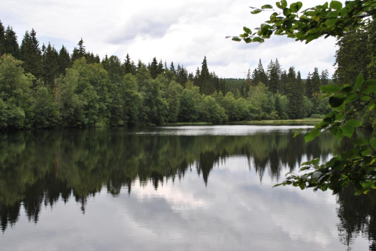 Harz-Rose Leilighet Braunlage Eksteriør bilde
