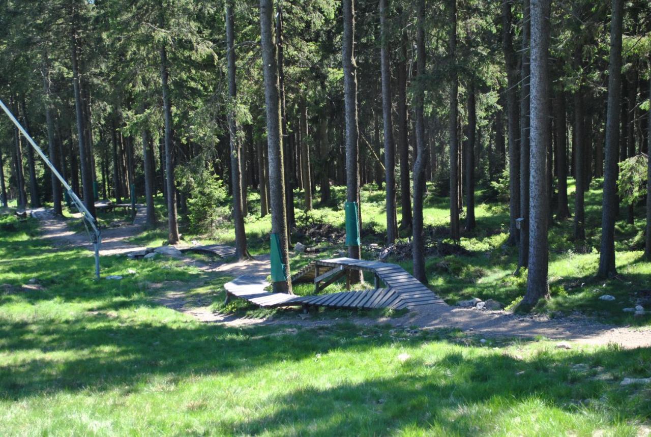 Harz-Rose Leilighet Braunlage Eksteriør bilde