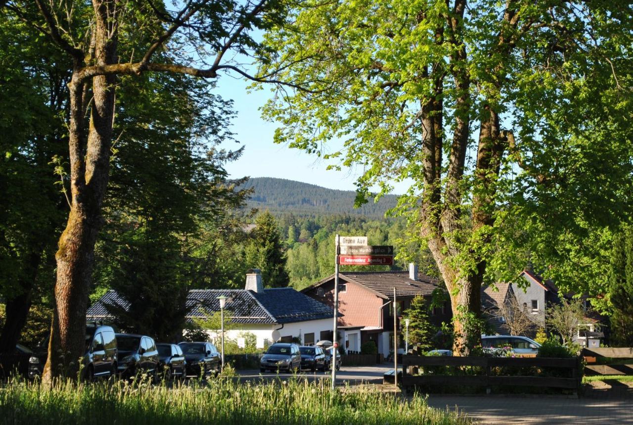 Harz-Rose Leilighet Braunlage Eksteriør bilde
