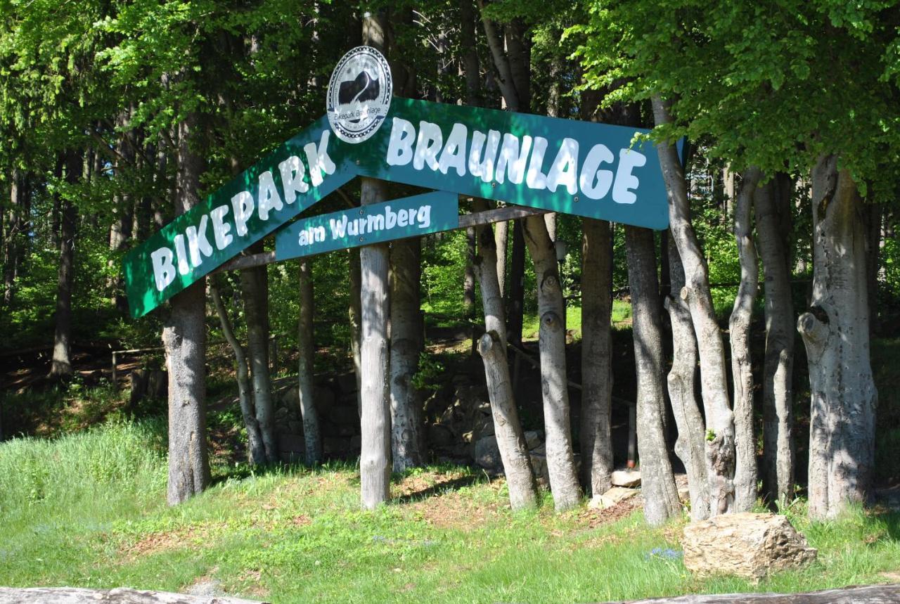Harz-Rose Leilighet Braunlage Eksteriør bilde