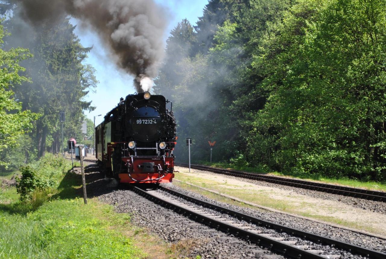 Harz-Rose Leilighet Braunlage Eksteriør bilde