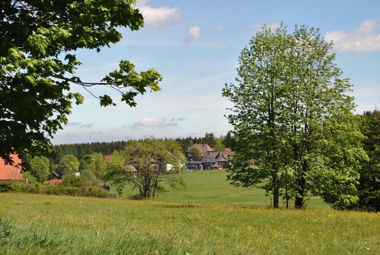 Harz-Rose Leilighet Braunlage Eksteriør bilde