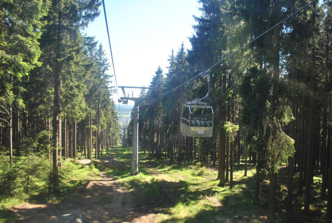 Harz-Rose Leilighet Braunlage Eksteriør bilde