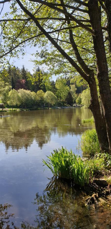 Harz-Rose Leilighet Braunlage Eksteriør bilde