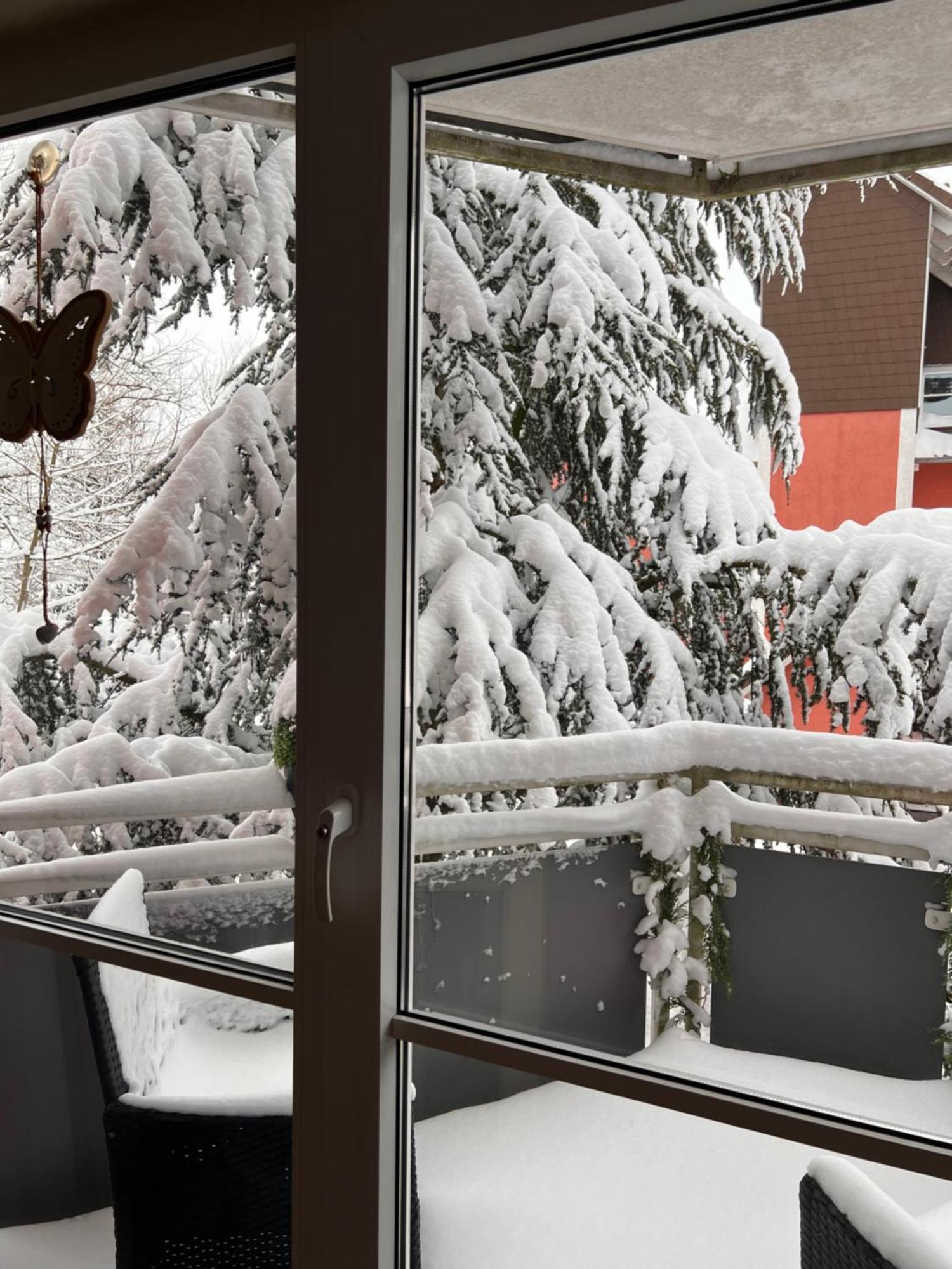 Harz-Rose Leilighet Braunlage Eksteriør bilde