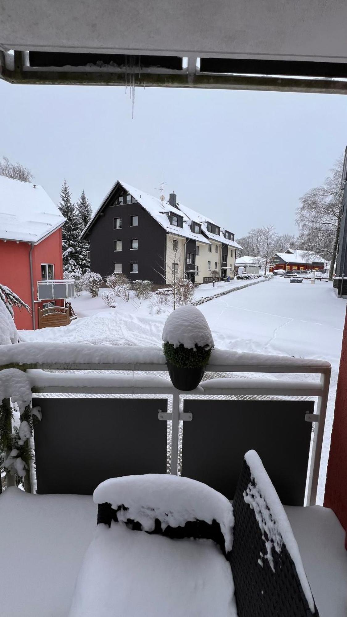 Harz-Rose Leilighet Braunlage Eksteriør bilde